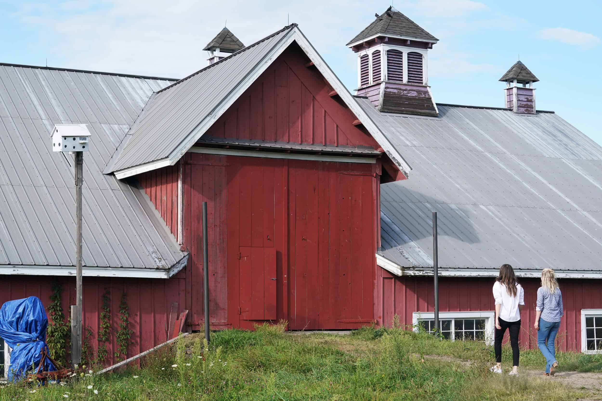 Henderson Samsung The Frame Louise Roe The Barn 17